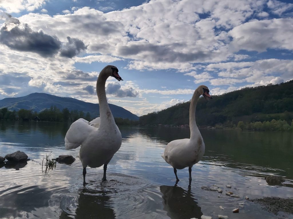 Zelinje – novo lice Podrinja: Od zaboravljenog sela do atraktivne turističke destinacije