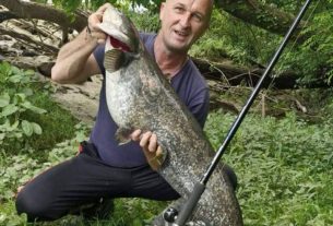 KAD KAPITALAC ZAGRIZE U VRIJEME ZABRANE – KAPITALAN PRIMIJERAK ULOVLJEN U ŠEPKU UREDNO VRAĆEN U DRINU (VIDEO)