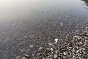 Meni sadaka ribama nafaka